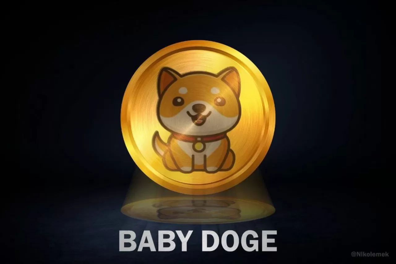 Baby Doge Coin Geleceği Nasıl? 2024 Fiyat Tahmini