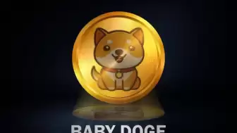 Baby Doge Coin Geleceği Nasıl? 2024 Fiyat Tahmini