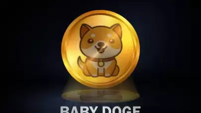 Baby Doge Coin Geleceği Nasıl? 2024 Fiyat Tahmini