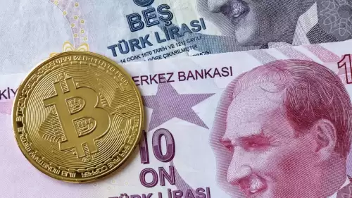 Kripto Para Piyasasında Türk Lirası Rekor Kırdı, Euro’yu Geride Bıraktı